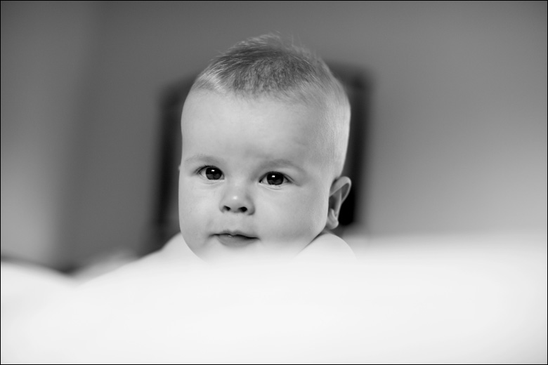 baby-photographer-bayside