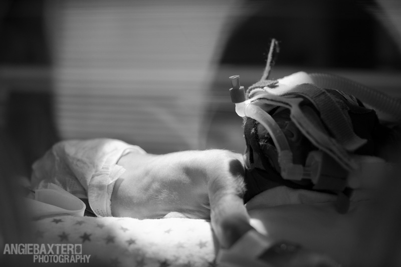 newborn_02