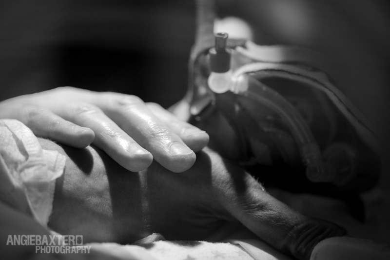 newborn_03