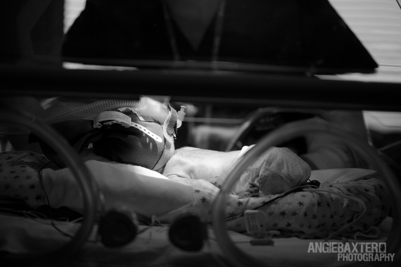 newborn_04