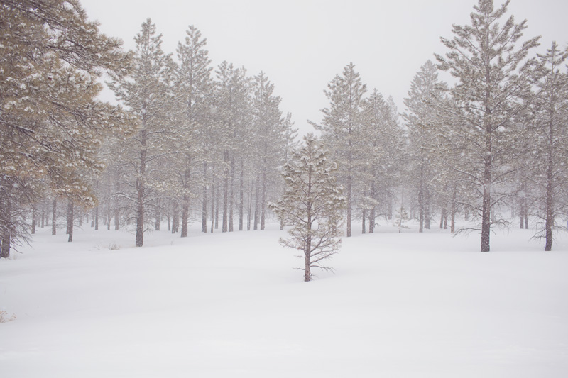 angie_baxter_bryce_canyon_07