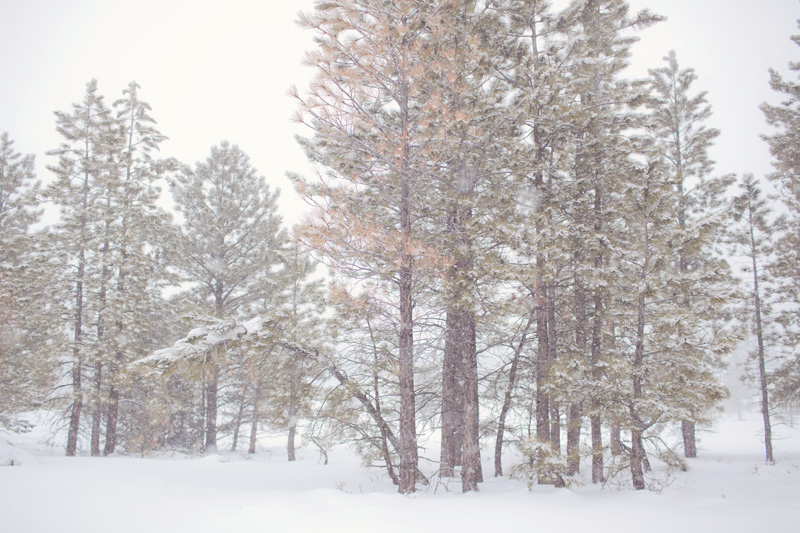 angie_baxter_bryce_canyon_08