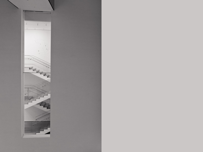 new york moma