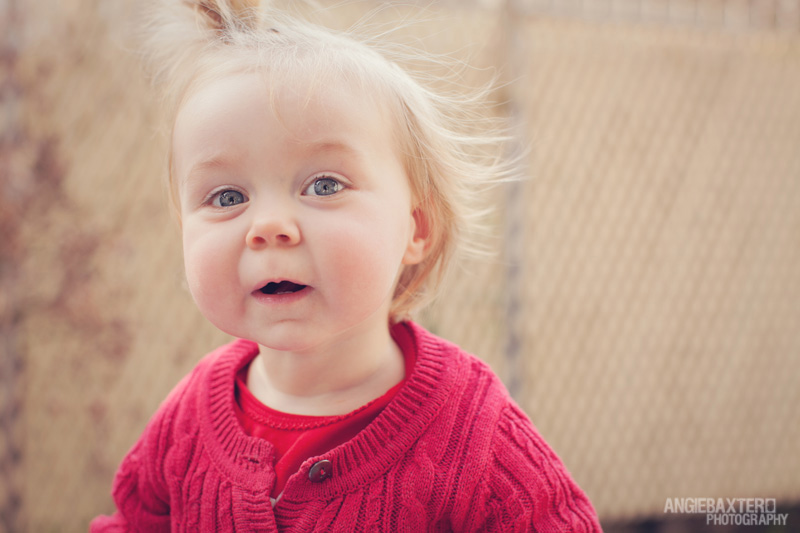 child photographers bayside