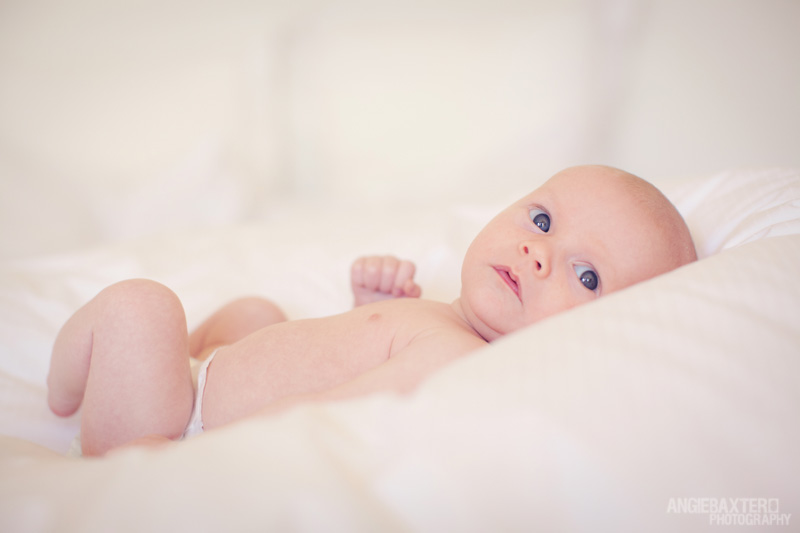 baby-photographers-beaumaris